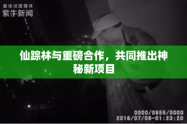 仙踪林与重磅合作，共同推出神秘新项目