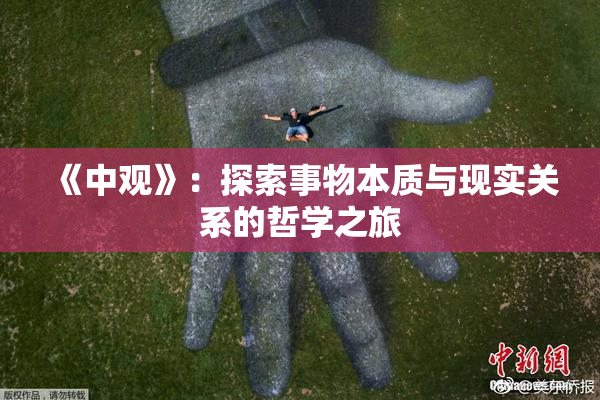 《中观》：探索事物本质与现实关系的哲学之旅