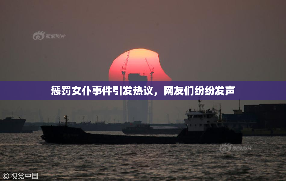 惩罚女仆事件引发热议，网友们纷纷发声