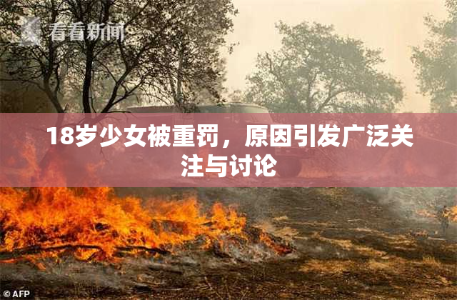 18岁少女被重罚，原因引发广泛关注与讨论