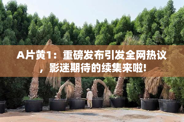 A片黄1：重磅发布引发全网热议，影迷期待的续集来啦!