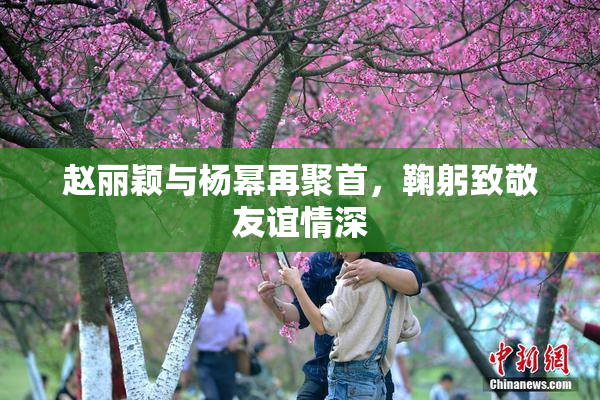 赵丽颖与杨幂再聚首，鞠躬致敬友谊情深