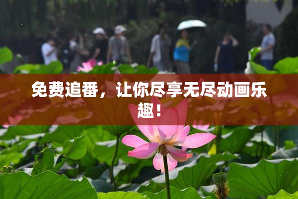 免费追番，让你尽享无尽动画乐趣！