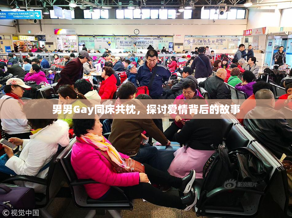 男男Gay同床共枕，探讨爱情背后的故事