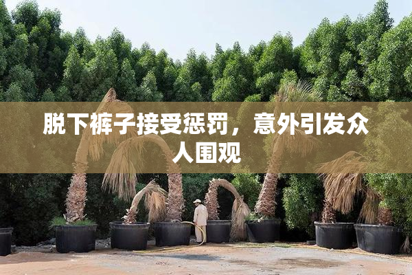 脱下裤子接受惩罚，意外引发众人围观