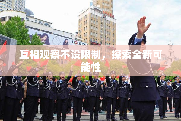 互相观察不设限制，探索全新可能性