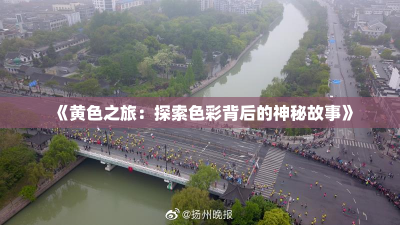 《黄色之旅：探索色彩背后的神秘故事》
