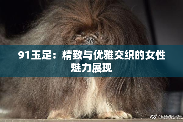 91玉足：精致与优雅交织的女性魅力展现
