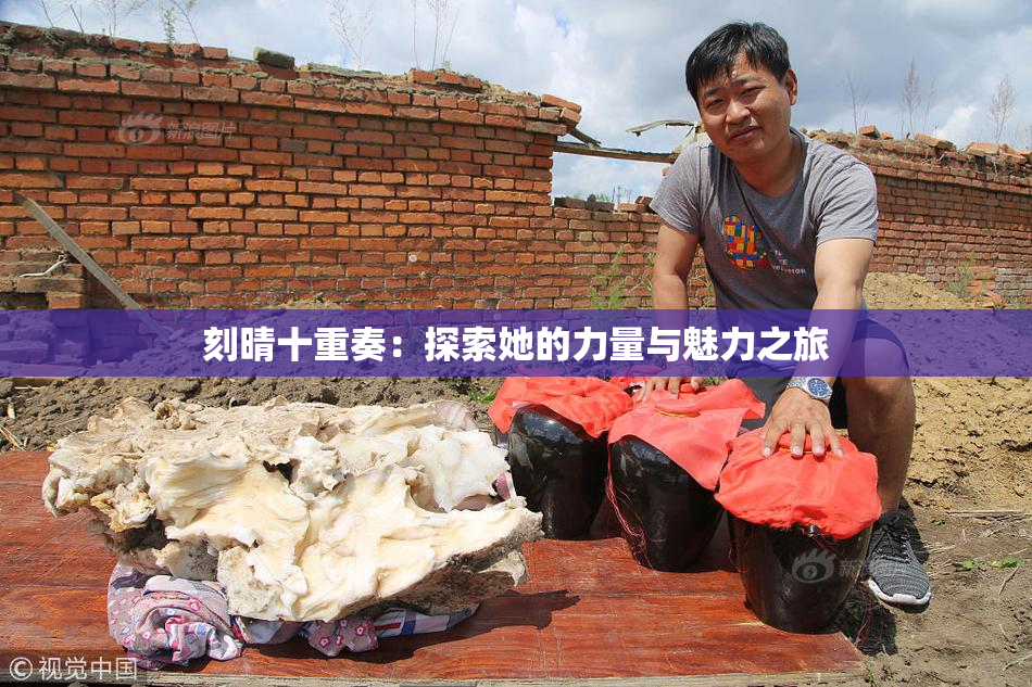 刻晴十重奏：探索她的力量与魅力之旅