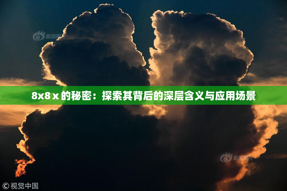 8x8ⅹ的秘密：探索其背后的深层含义与应用场景