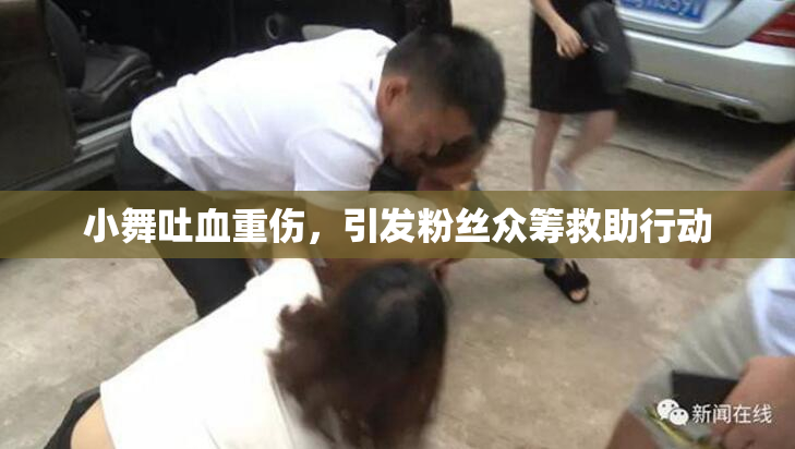小舞吐血重伤，引发粉丝众筹救助行动