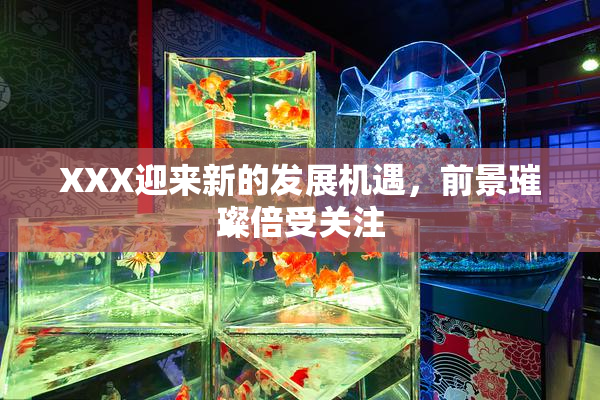 XXX迎来新的发展机遇，前景璀璨倍受关注