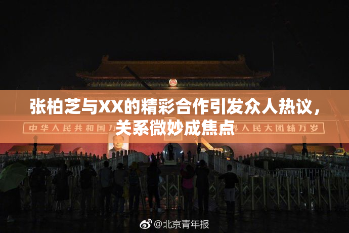 张柏芝与XX的精彩合作引发众人热议，关系微妙成焦点