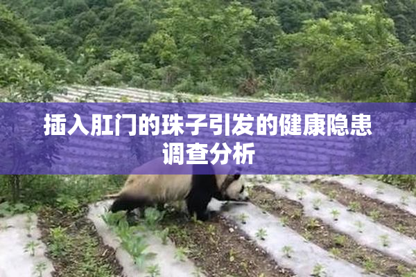插入肛门的珠子引发的健康隐患调查分析