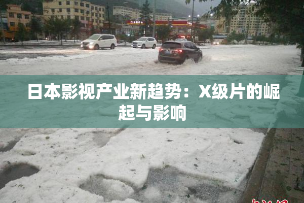 日本影视产业新趋势：X级片的崛起与影响