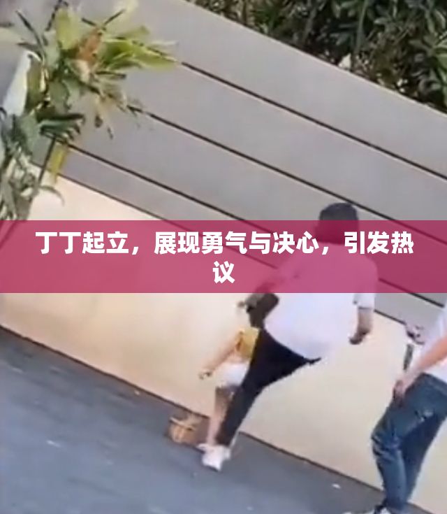 丁丁起立，展现勇气与决心，引发热议