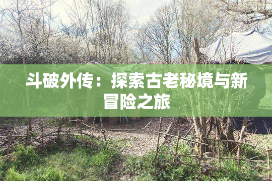 斗破外传：探索古老秘境与新冒险之旅