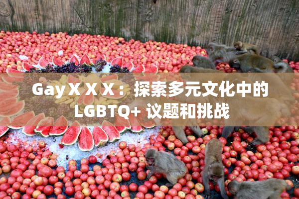 GayⅩⅩⅩ：探索多元文化中的 LGBTQ+ 议题和挑战