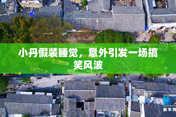 小丹假装睡觉，意外引发一场搞笑风波
