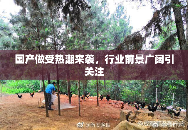 国产做受热潮来袭，行业前景广阔引关注