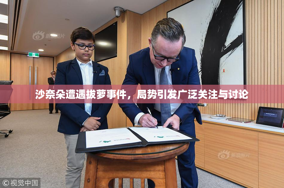 沙奈朵遭遇拔萝事件，局势引发广泛关注与讨论