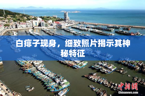 白痱子现身，细致照片揭示其神秘特征