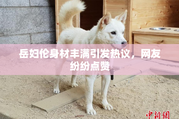 岳妇伦身材丰满引发热议，网友纷纷点赞