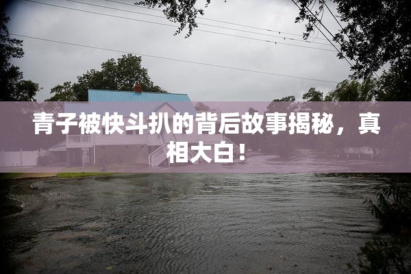 青子被快斗扒的背后故事揭秘，真相大白！