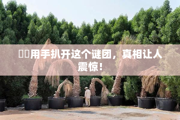 妺妺用手扒开这个谜团，真相让人震惊！