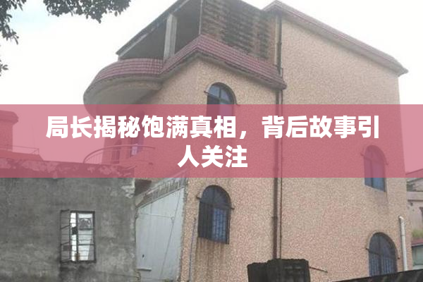 局长揭秘饱满真相，背后故事引人关注