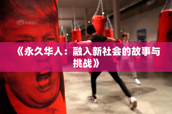 《永久华人：融入新社会的故事与挑战》