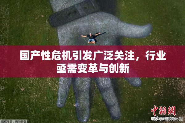 国产性危机引发广泛关注，行业亟需变革与创新