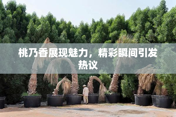 桃乃香展现魅力，精彩瞬间引发热议