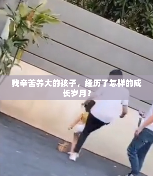 我辛苦养大的孩子，经历了怎样的成长岁月？