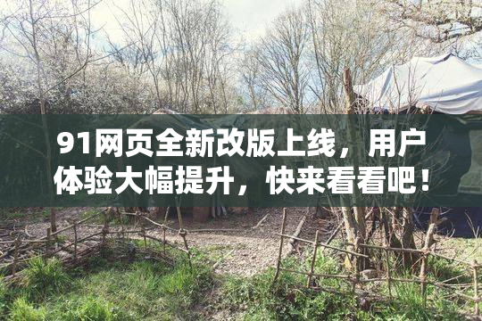 91网页全新改版上线，用户体验大幅提升，快来看看吧！