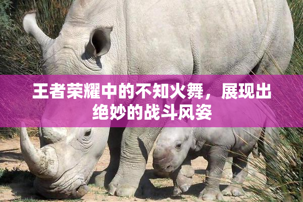 王者荣耀中的不知火舞，展现出绝妙的战斗风姿