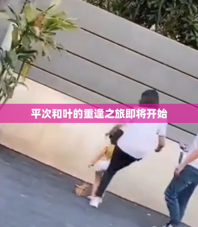平次和叶的重逢之旅即将开始