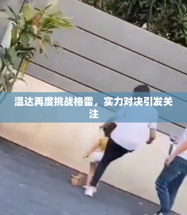 温达再度挑战格雷，实力对决引发关注