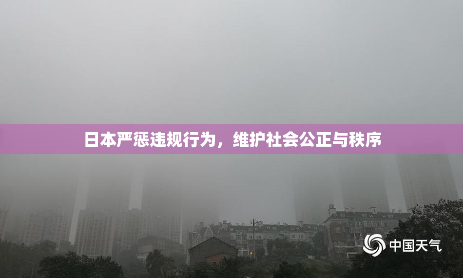 日本严惩违规行为，维护社会公正与秩序
