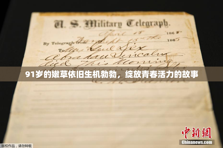 91岁的嫩草依旧生机勃勃，绽放青春活力的故事