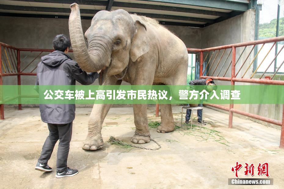 公交车被上高引发市民热议，警方介入调查