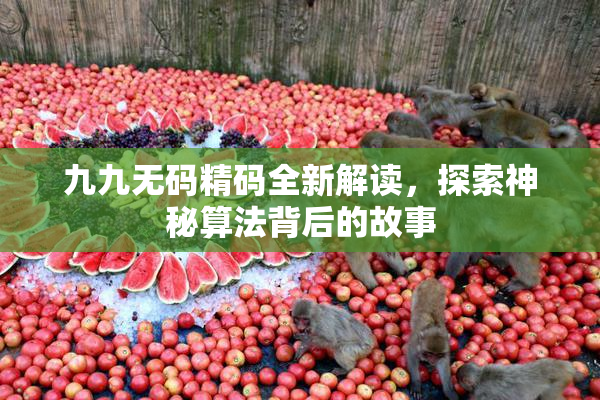九九无码精码全新解读，探索神秘算法背后的故事