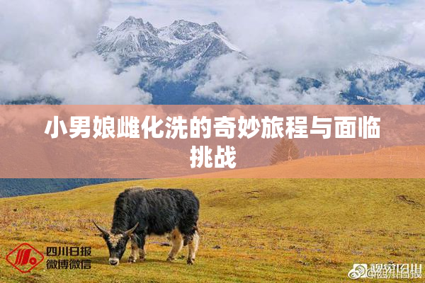 小男娘雌化洗的奇妙旅程与面临挑战
