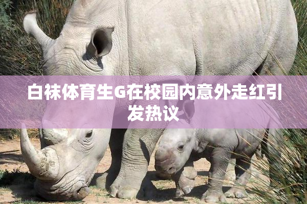 白袜体育生G在校园内意外走红引发热议