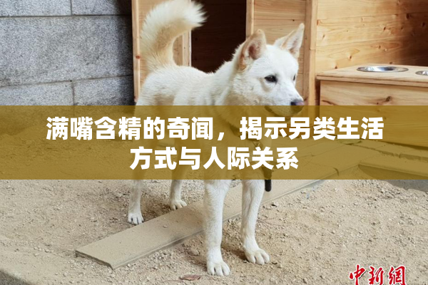 满嘴含精的奇闻，揭示另类生活方式与人际关系
