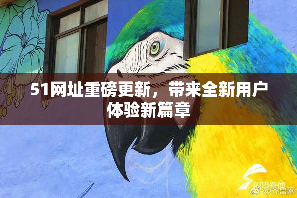 51网址重磅更新，带来全新用户体验新篇章