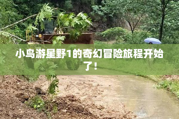 小鸟游星野1的奇幻冒险旅程开始了！