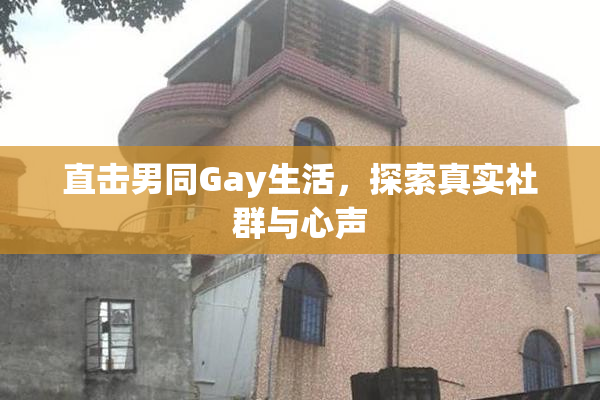 直击男同Gay生活，探索真实社群与心声