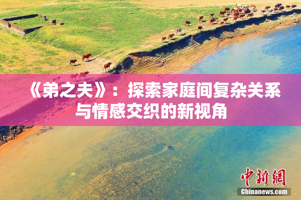 《弟之夫》：探索家庭间复杂关系与情感交织的新视角