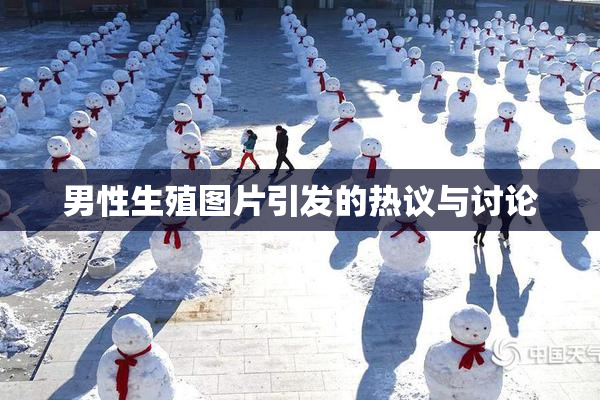 男性生殖图片引发的热议与讨论